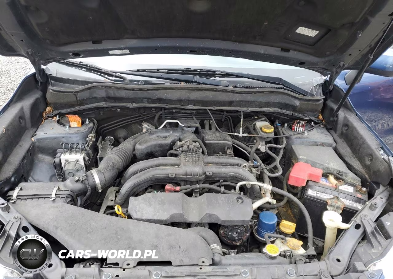 2014 Subaru Forester 2.5I Premium VIN:JF2SJADC5EH429905 - 12