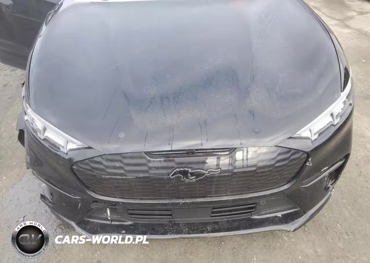 2022 Ford Mustang Mach-E Gt VIN:3FMTK4SEXNMA25270 - 12