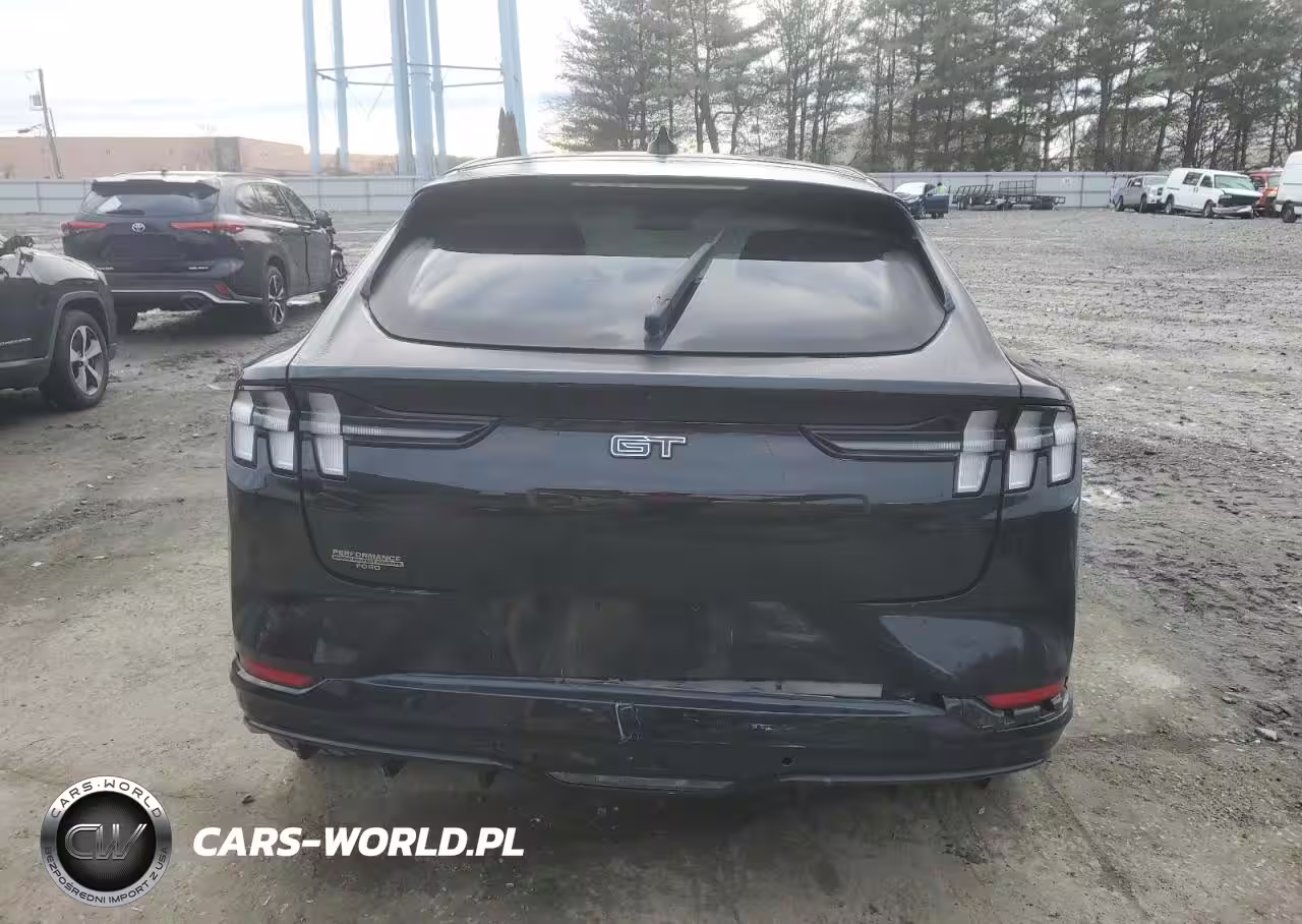 2022 Ford Mustang Mach-E Gt VIN:3FMTK4SEXNMA25270 - 6