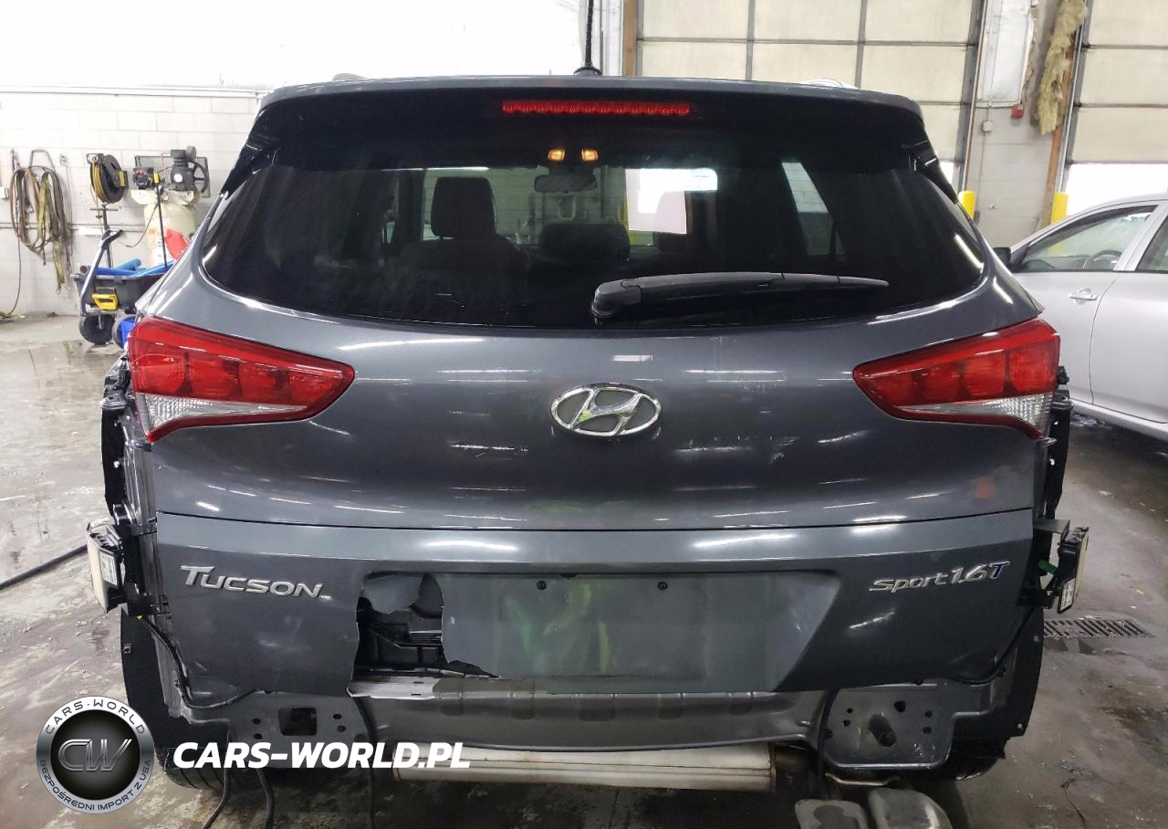 HYUNDAI TUCSON LIM VIN:KM8J33A24HU391313 - 6