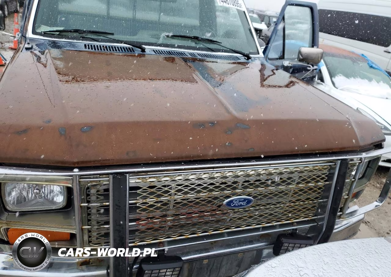 1983 Ford F150 VIN:1FTEF14G1DPB08688 - 11