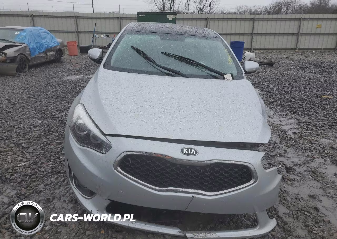 2016 Kia Cadenza Luxury VIN:KNALN4D71G5209321 - 5