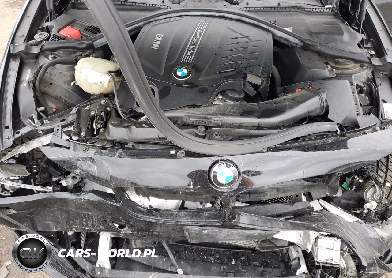 2014 BMW 335 Xi VIN:WBA3B9G52ENR91030 - 11