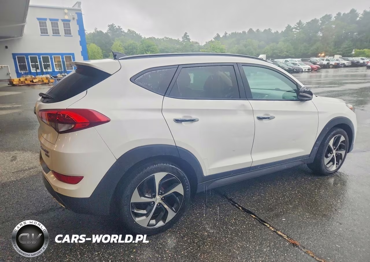 2016 Hyundai Tucson Limited VIN:KM8J3CA20GU079164 - 3