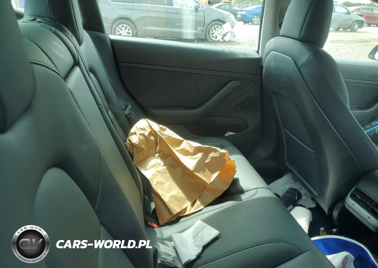 2020 Tesla Model 3 VIN:5YJ3E1EB8LF710879 - 10
