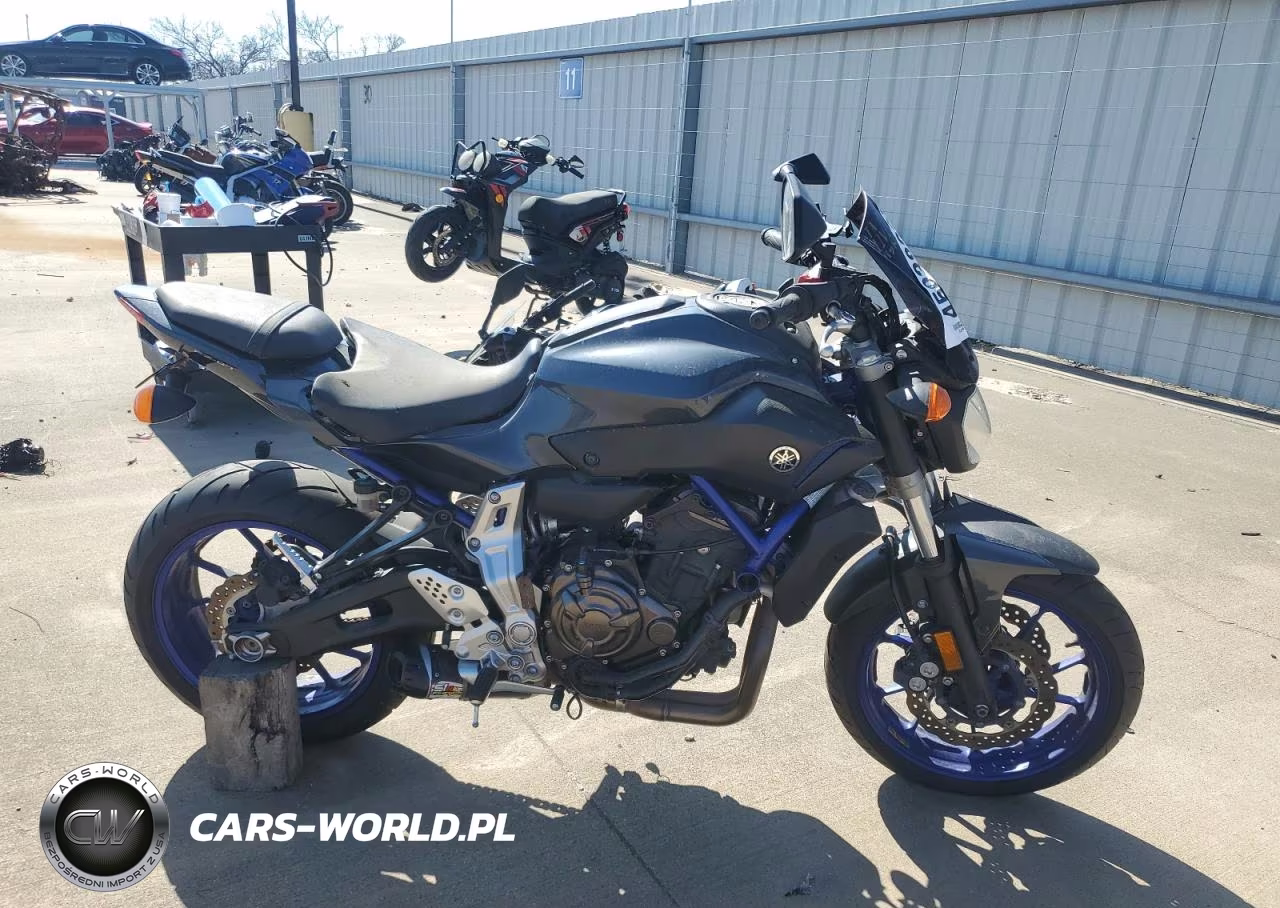 2015 Yamaha Fz07