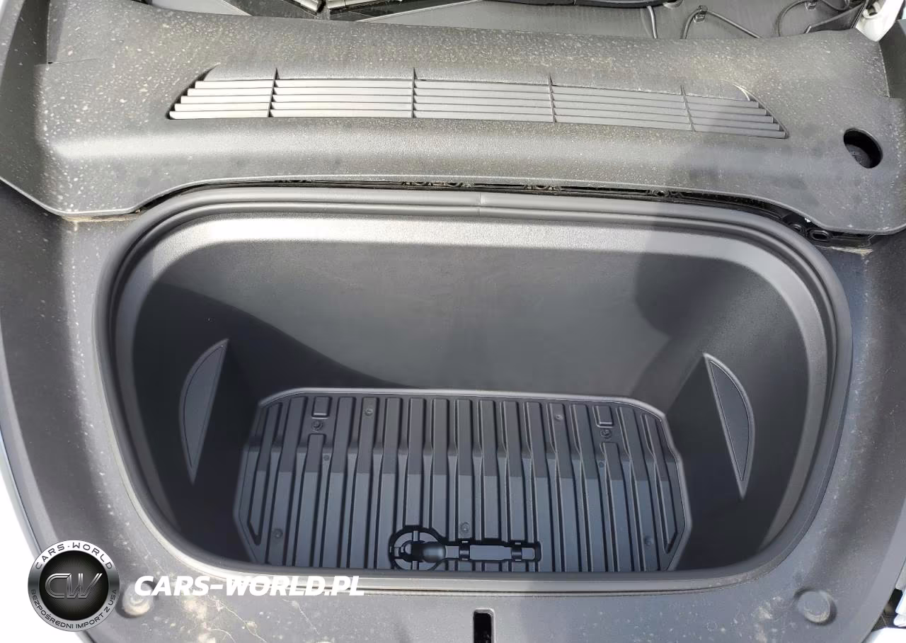 2023 Tesla Model Y VIN:7SAYGDEF4PF699800 - 11