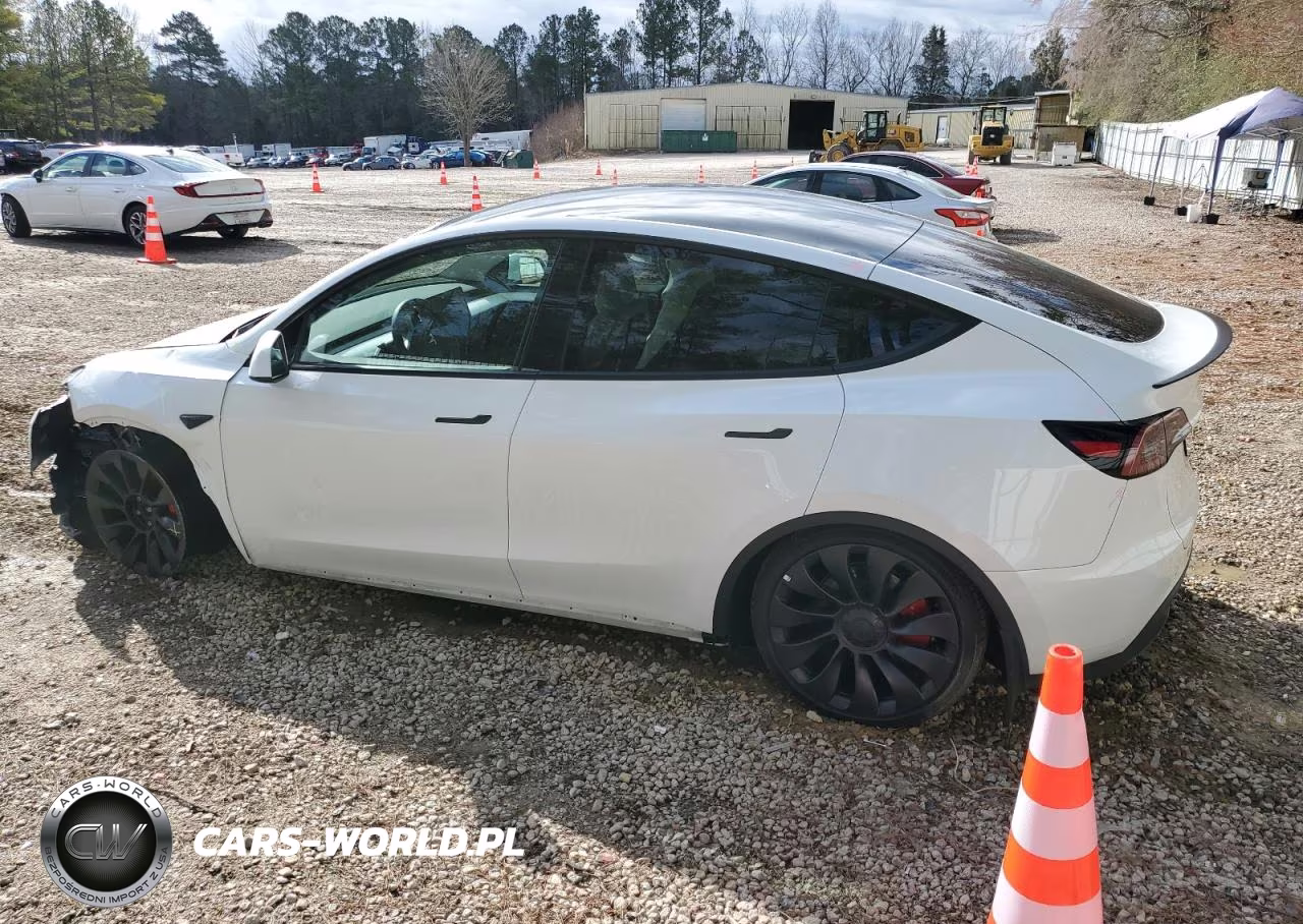 2023 Tesla Model Y VIN:7SAYGDEF4PF699800 - 2