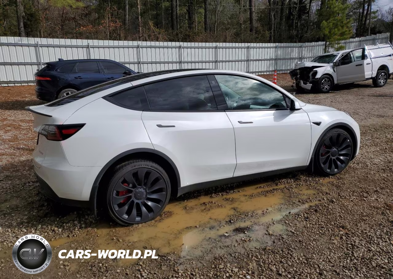 2023 Tesla Model Y VIN:7SAYGDEF4PF699800 - 3