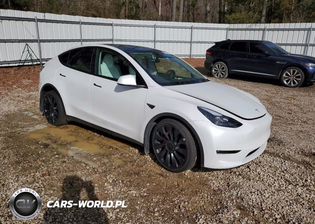 2023 Tesla Model Y VIN:7SAYGDEF4PF699800 - 4
