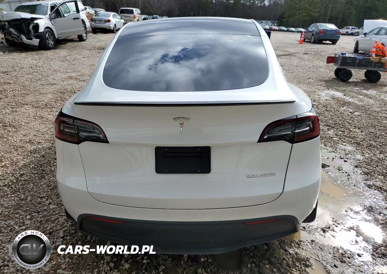 2023 Tesla Model Y VIN:7SAYGDEF4PF699800 - 6