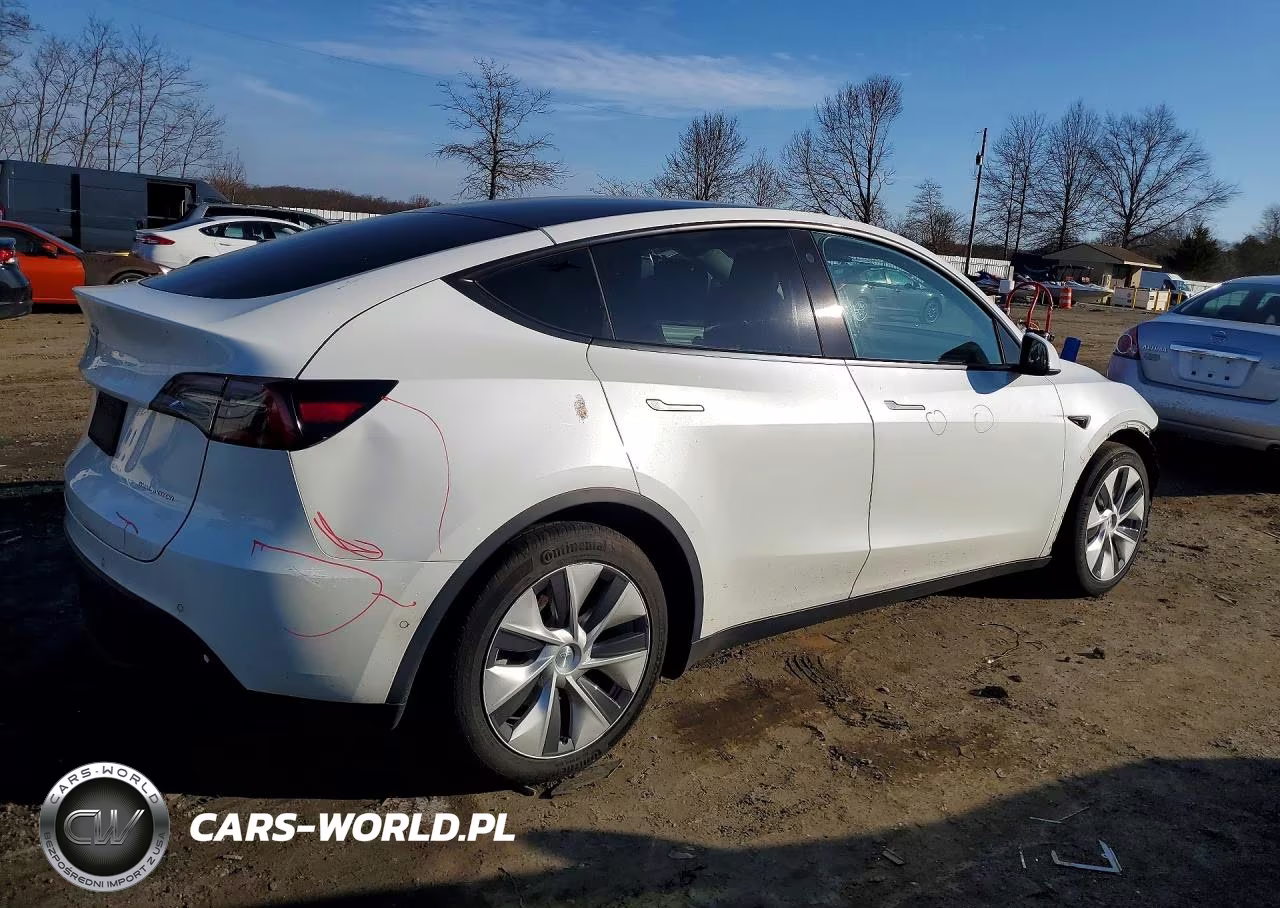 2021 Tesla Model Y VIN:5YJYGAEE0MF145541 - 3