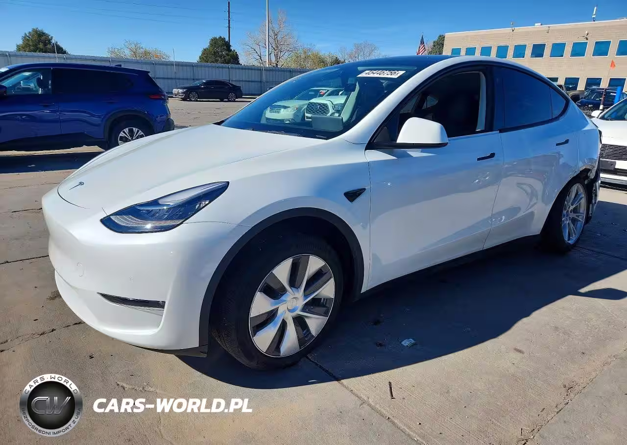 2020 Tesla Model Y
