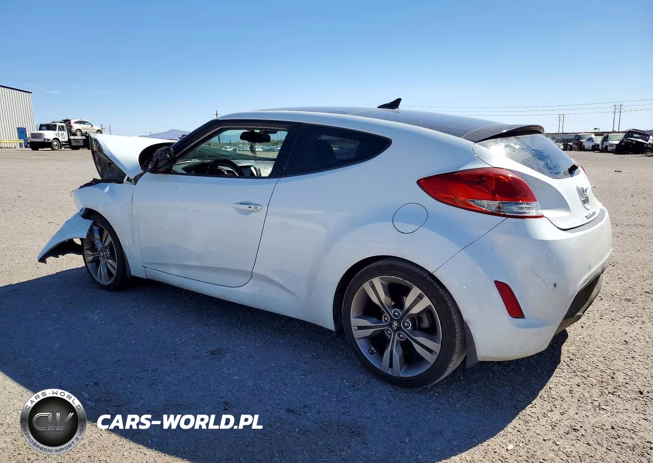 2013 Hyundai Veloster Base VIN:KMHTC6AD8DU176393 - 2