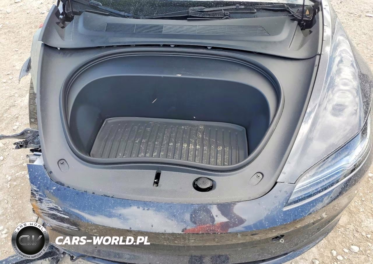 2025 Tesla Model 3 VIN:5YJ3E1EA2SF031342 - 11