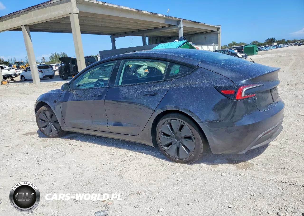 2025 Tesla Model 3 VIN:5YJ3E1EA2SF031342 - 2