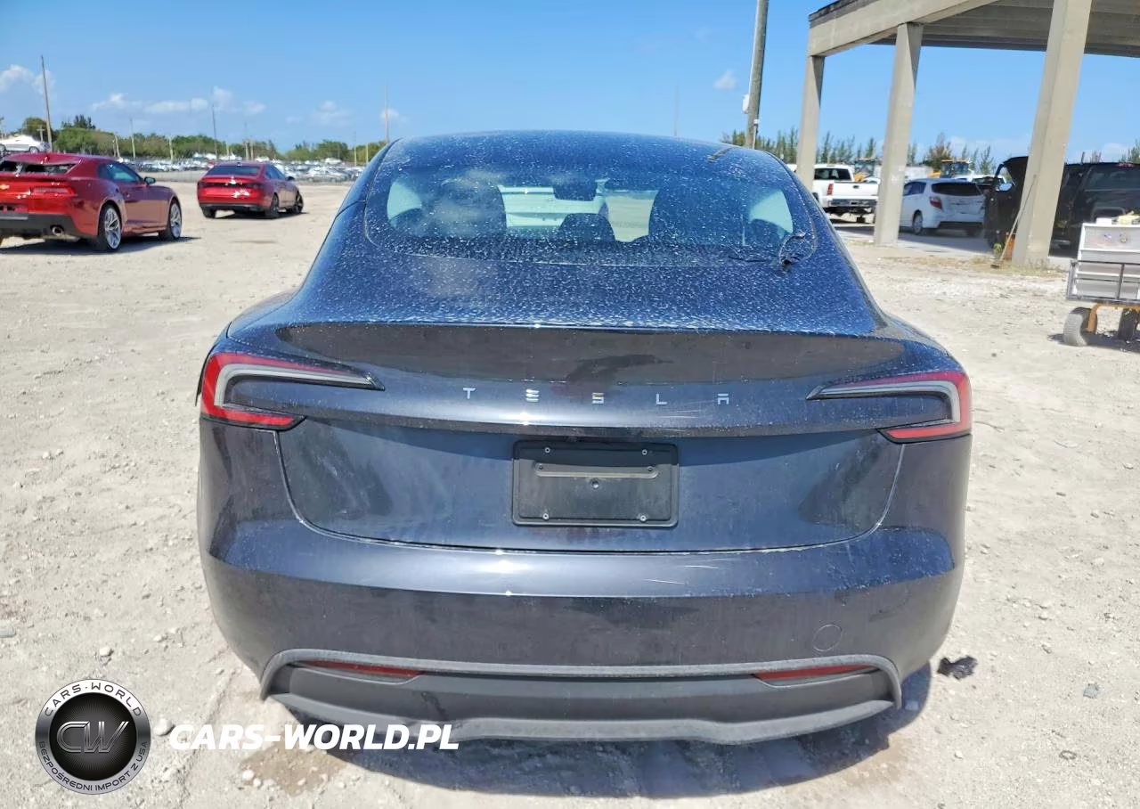 2025 Tesla Model 3 VIN:5YJ3E1EA2SF031342 - 6