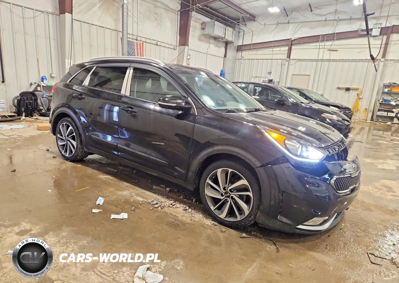 2017 Kia Niro Touring VIN:KNDCE3LC8H5044686 - 4