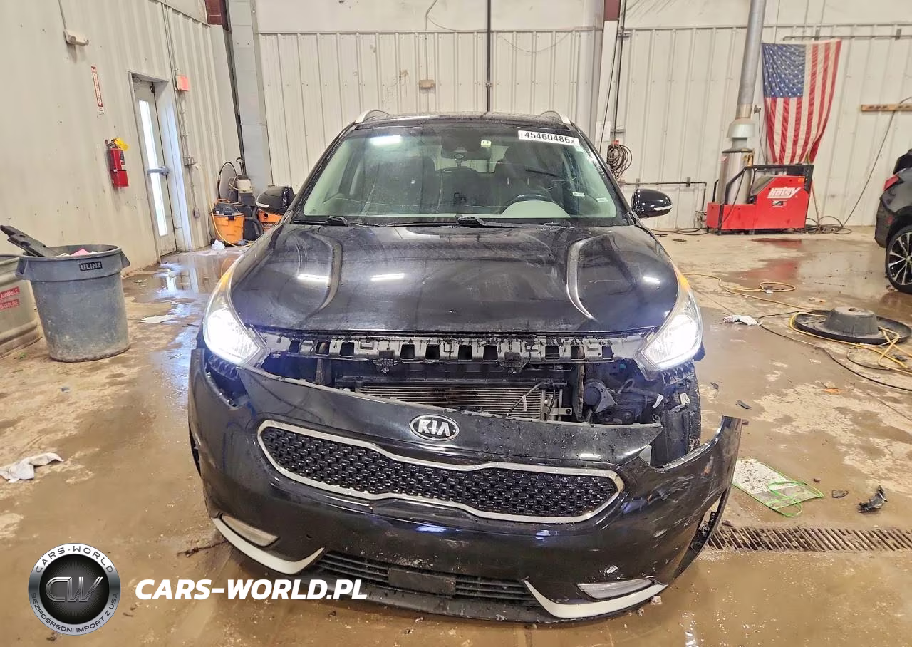 2017 Kia Niro Touring VIN:KNDCE3LC8H5044686 - 5