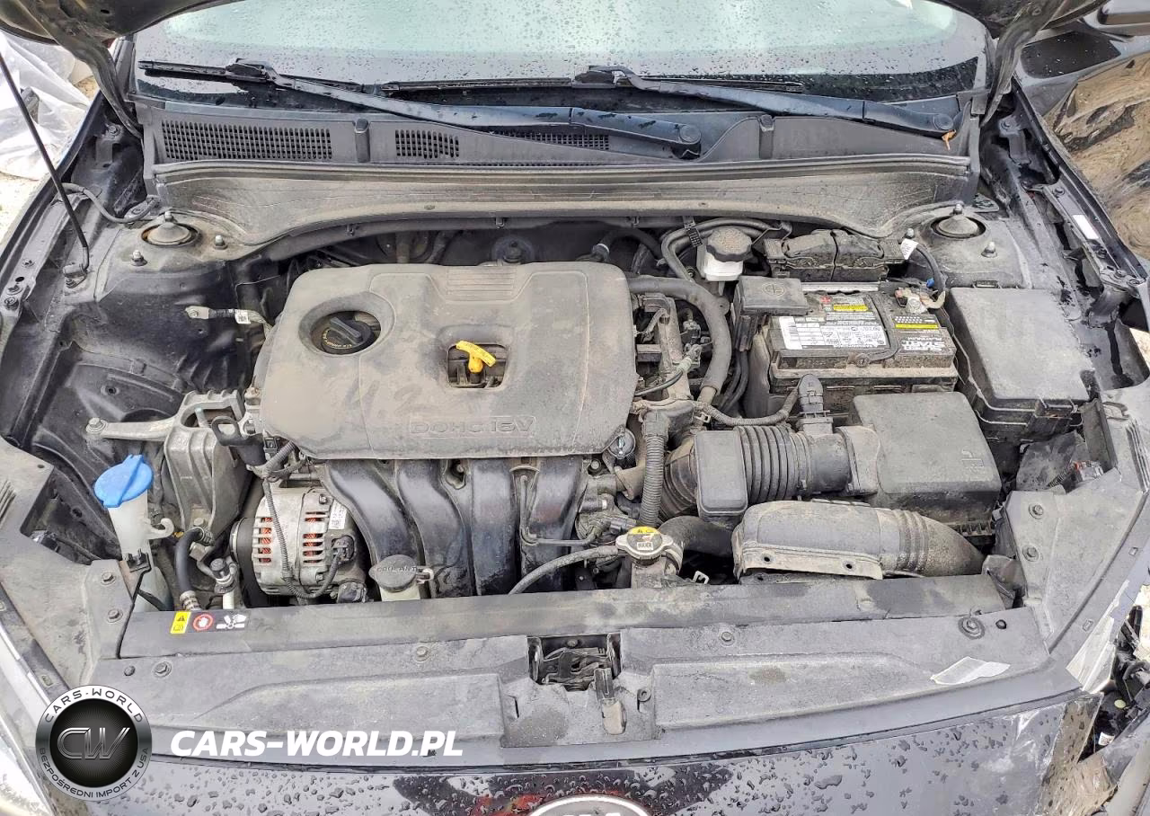 2019 Kia Forte Fe VIN:3KPF24AD6KE127231 - 11