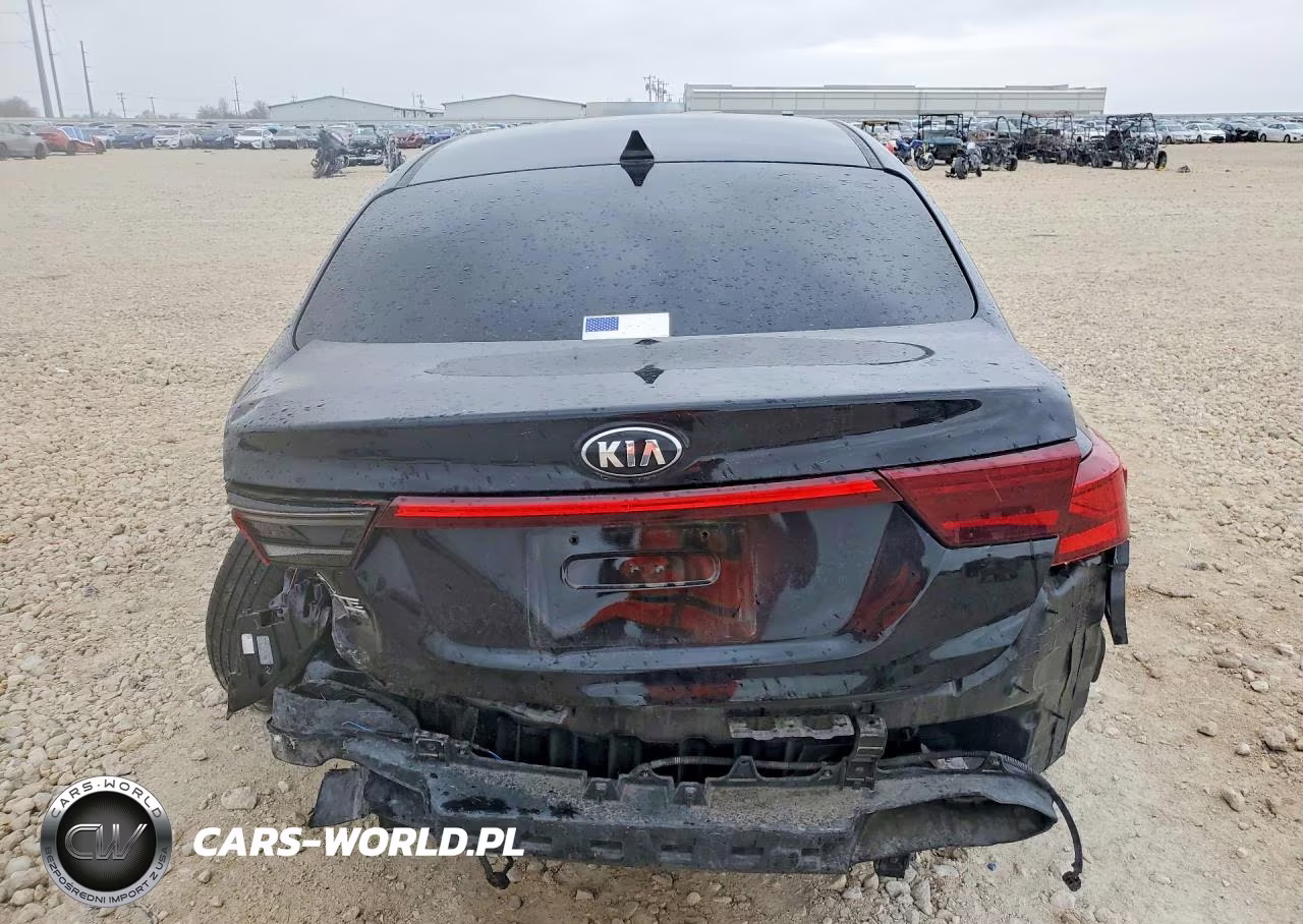 2019 Kia Forte Fe VIN:3KPF24AD6KE127231 - 6