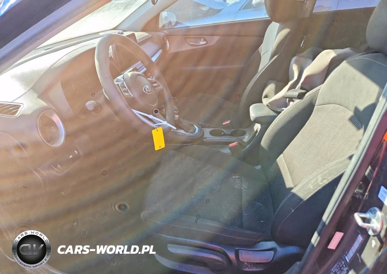 2019 Kia Forte Fe VIN:3KPF24AD6KE127231 - 7