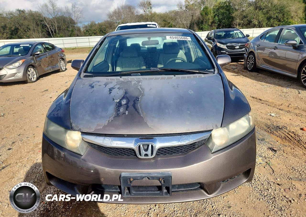 2009 Honda Civic Lx VIN:19XFA16509E034850 - 5