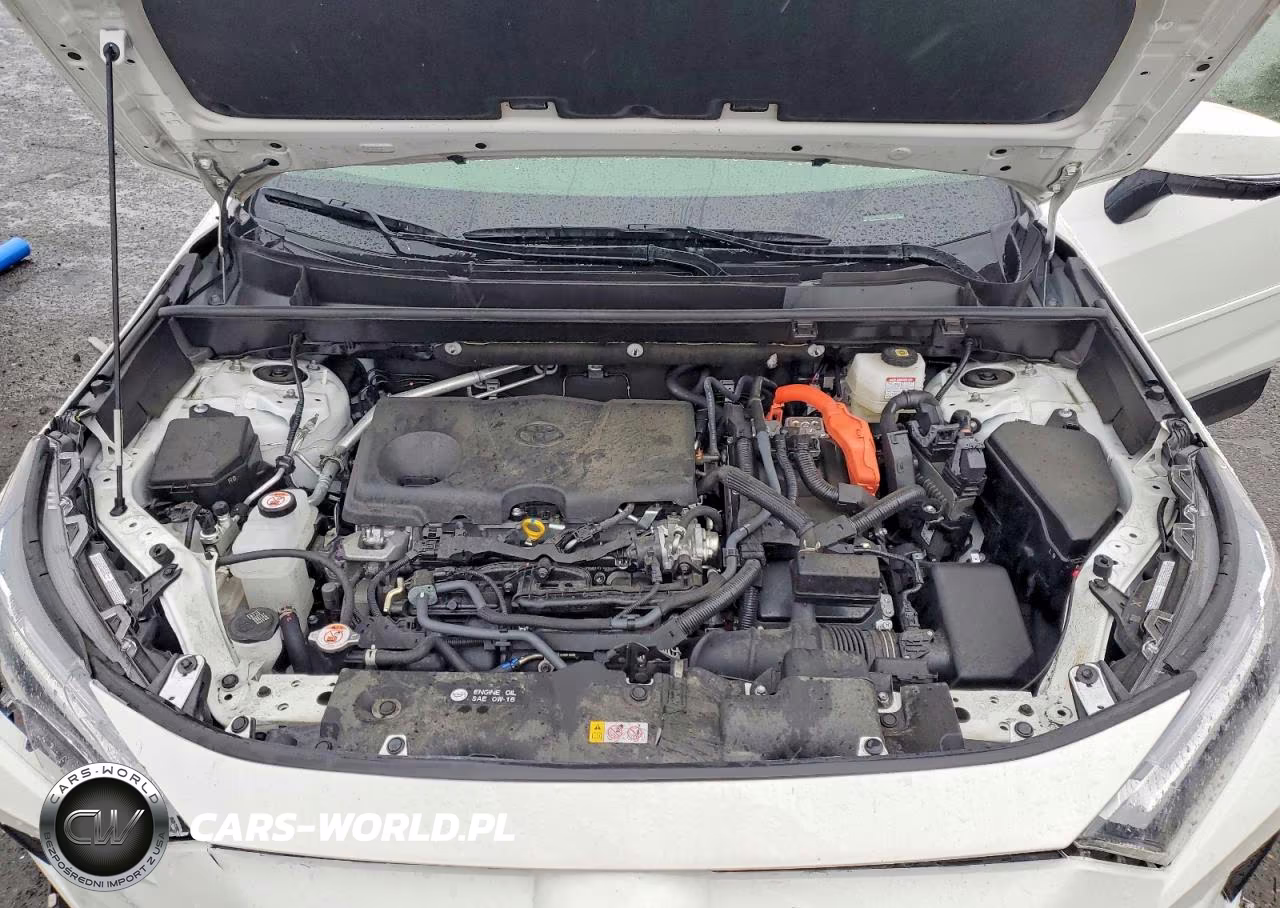 2025 Toyota Rav4 Hybrid Xle VIN:JTMRWRFV2SD291416 - 11