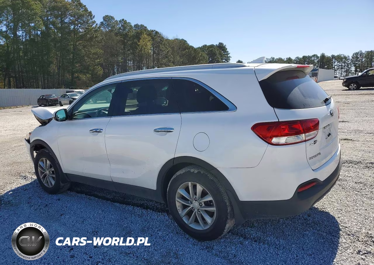 2017 Kia Sorento Lx VIN:5XYPG4A3XHG270398 - 2