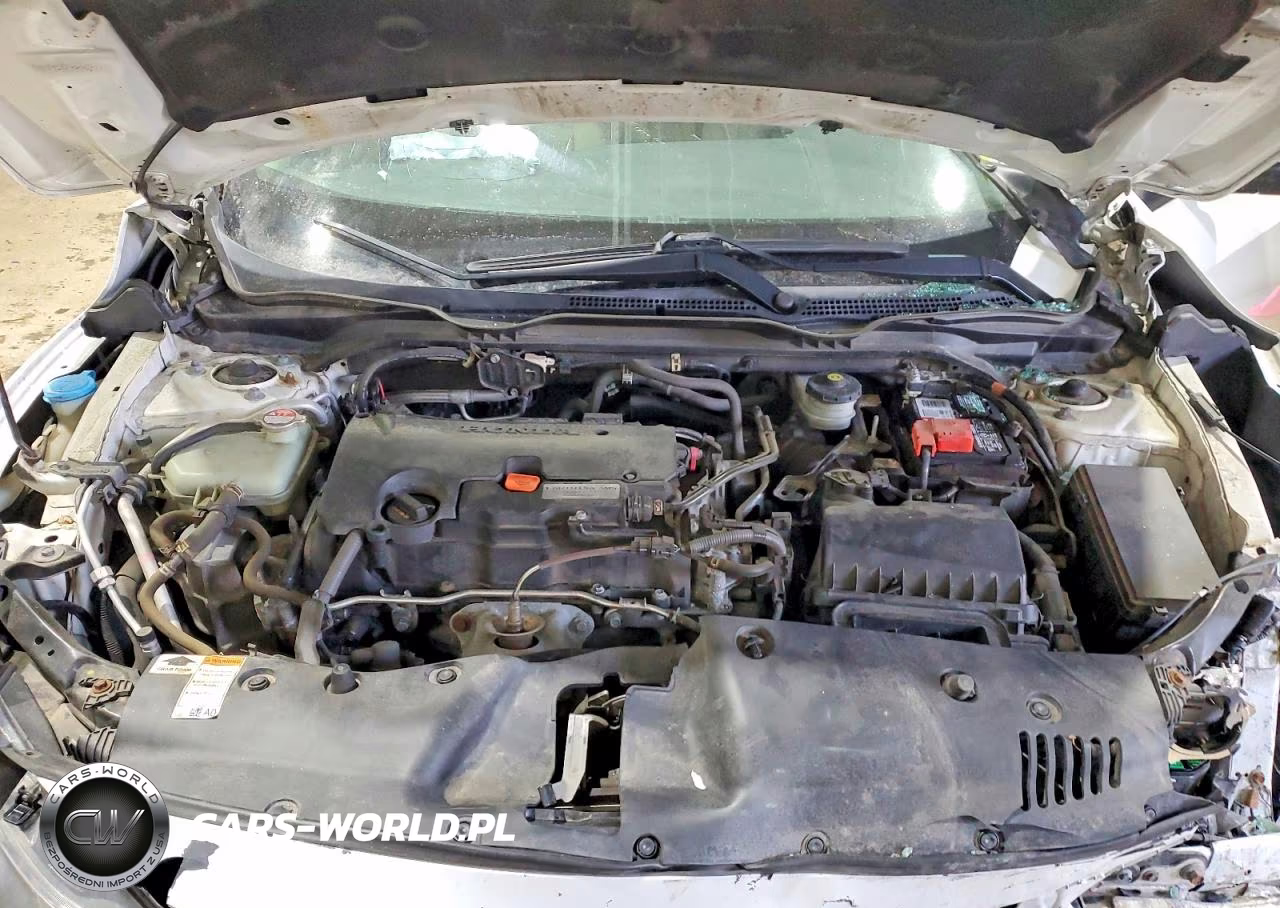 2017 Honda Civic Lx VIN:19XFC2F5XHE231992 - 11