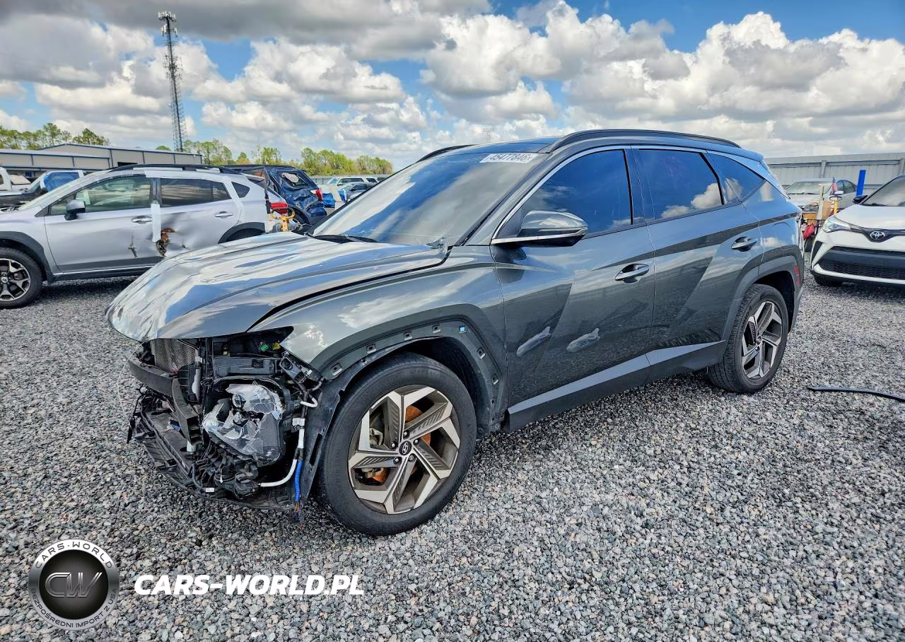 2023 Hyundai Tucson Limited VIN:5NMJE3AE0PH199840 - 1