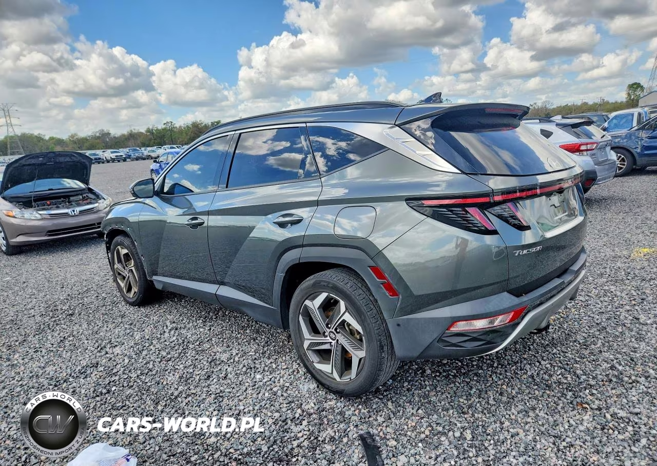 2023 Hyundai Tucson Limited VIN:5NMJE3AE0PH199840 - 2