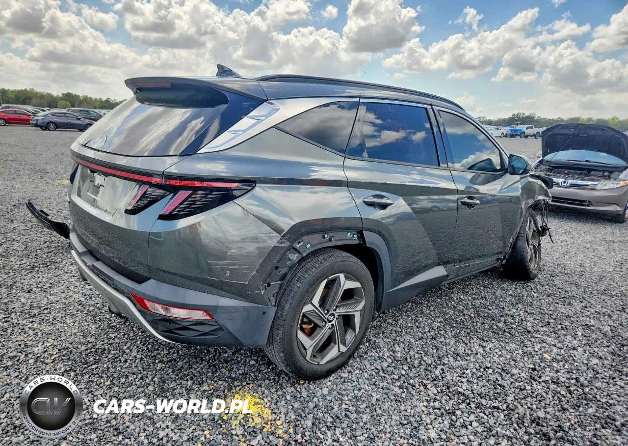 2023 Hyundai Tucson Limited VIN:5NMJE3AE0PH199840 - 3