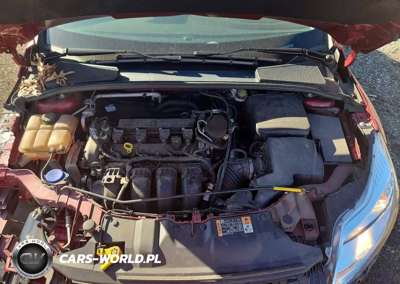 2014 Ford Focus Se VIN:1FADP3K28EL438371 - 11