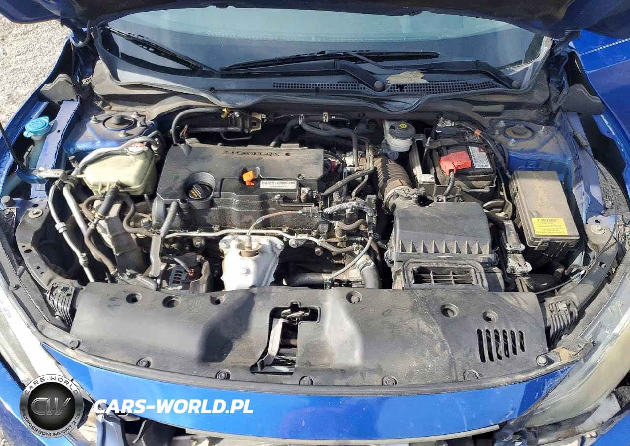 2016 Honda Civic Lx VIN:19XFC2F58GE060061 - 11