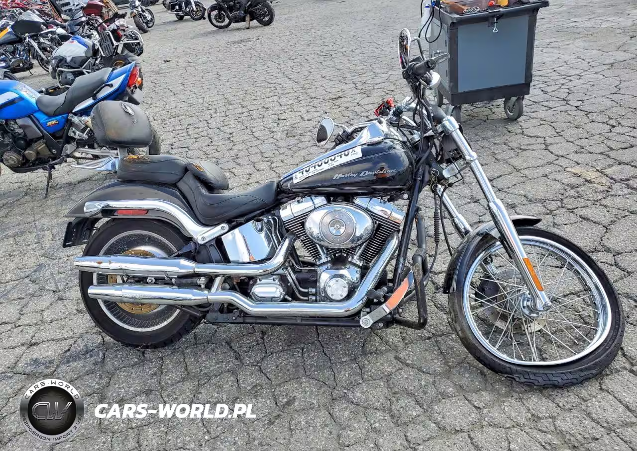 2006 Harley-Davidson Fxstdi