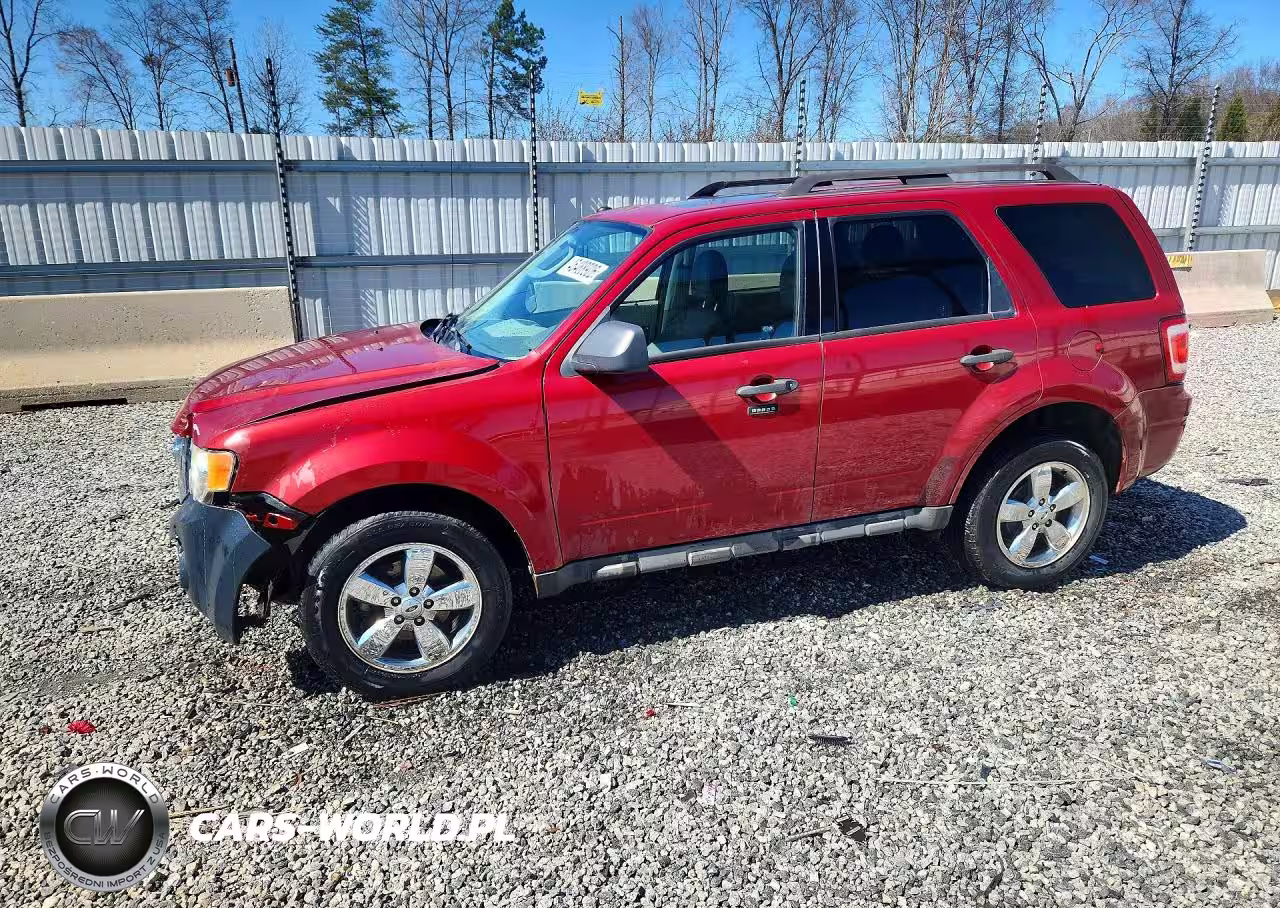 2010 Ford Escape Xlt