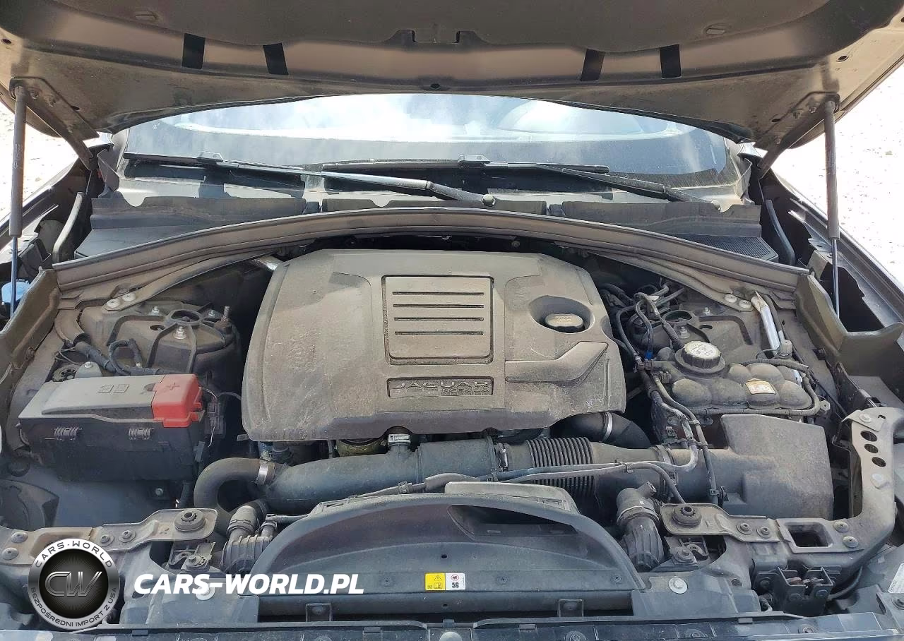 2019 Jaguar F-Pace 35T VIN:SADCK2FX7KA358656 - 12