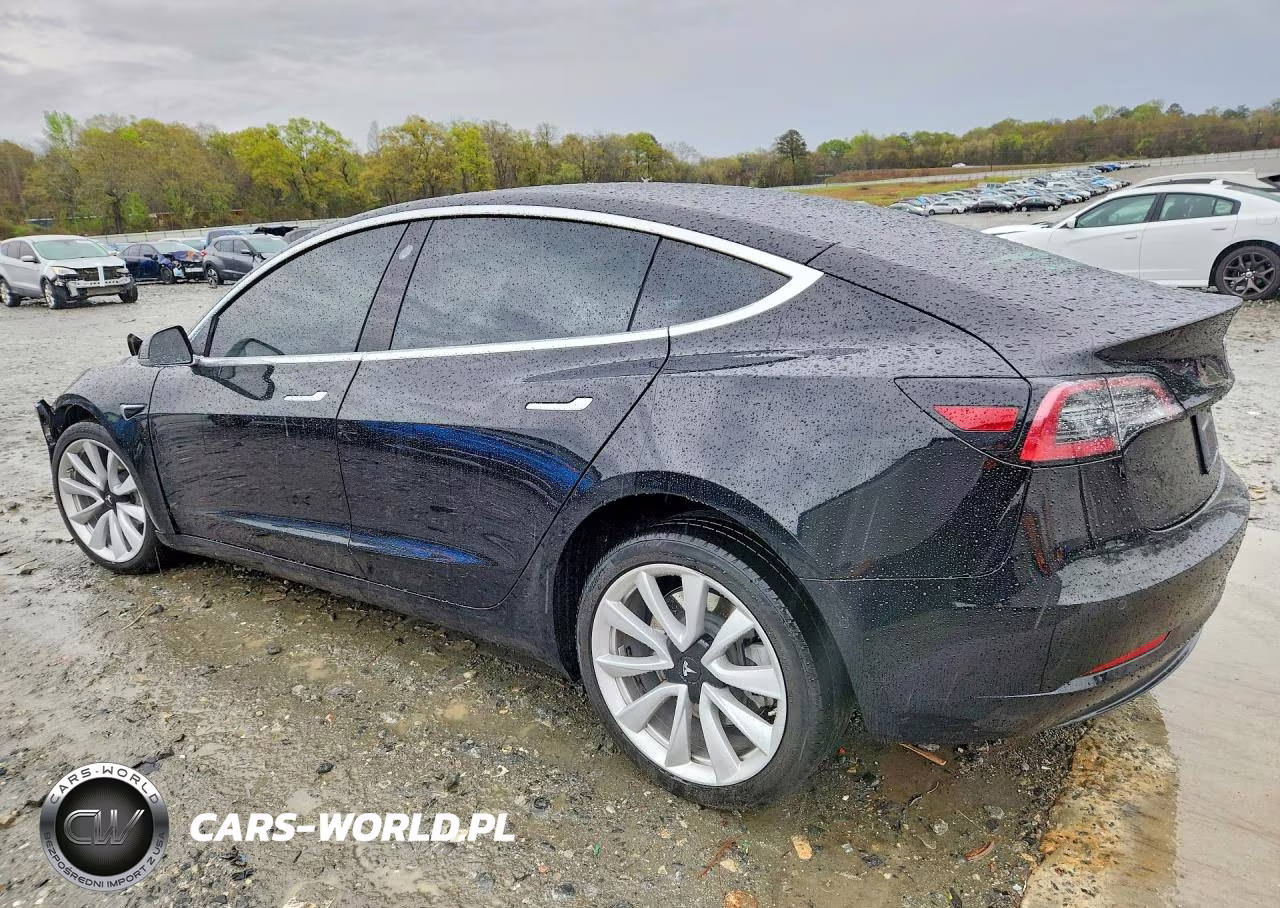 2020 Tesla Model 3 VIN:5YJ3E1EA4LF660795 - 2
