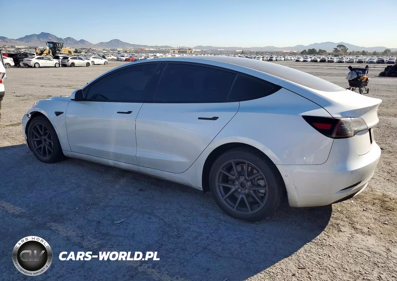 2021 Tesla Model 3 VIN:5YJ3E1EA1MF076162 - 2
