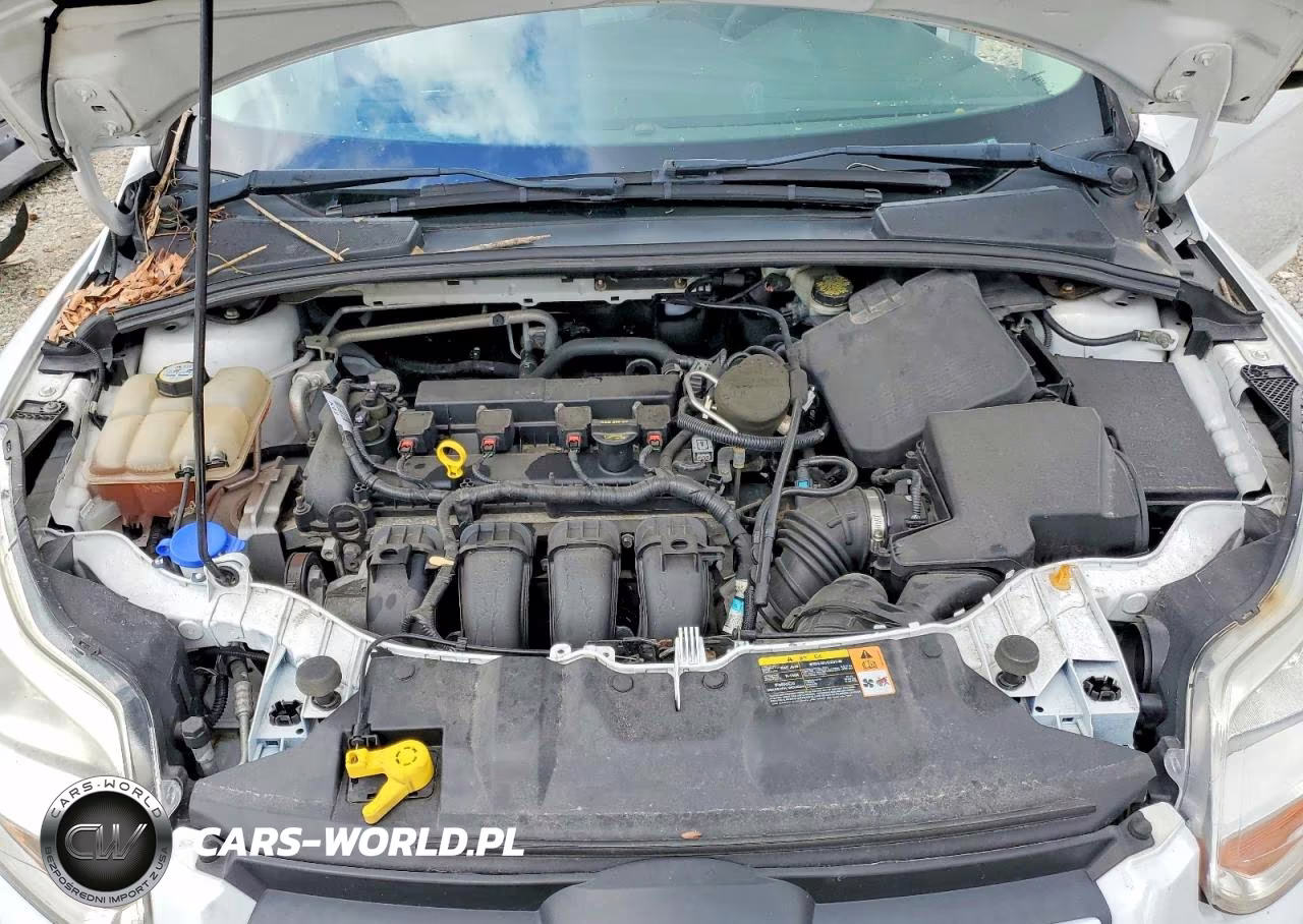 2013 Ford Focus Se VIN:1FADP3F24DL326711 - 11