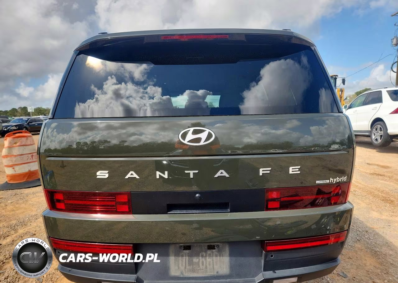 2025 Hyundai Santa Fe Hybrid Sel VIN:5NMP2DG18SH023706 - 6