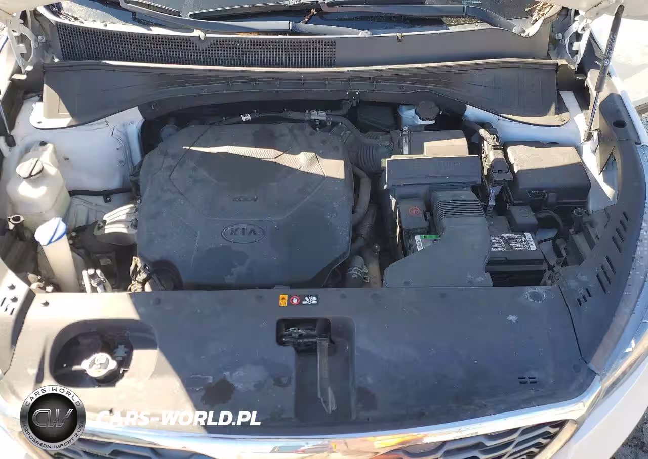2020 Kia Sorento S V6 VIN:5XYPGDA5XLG697266 - 12
