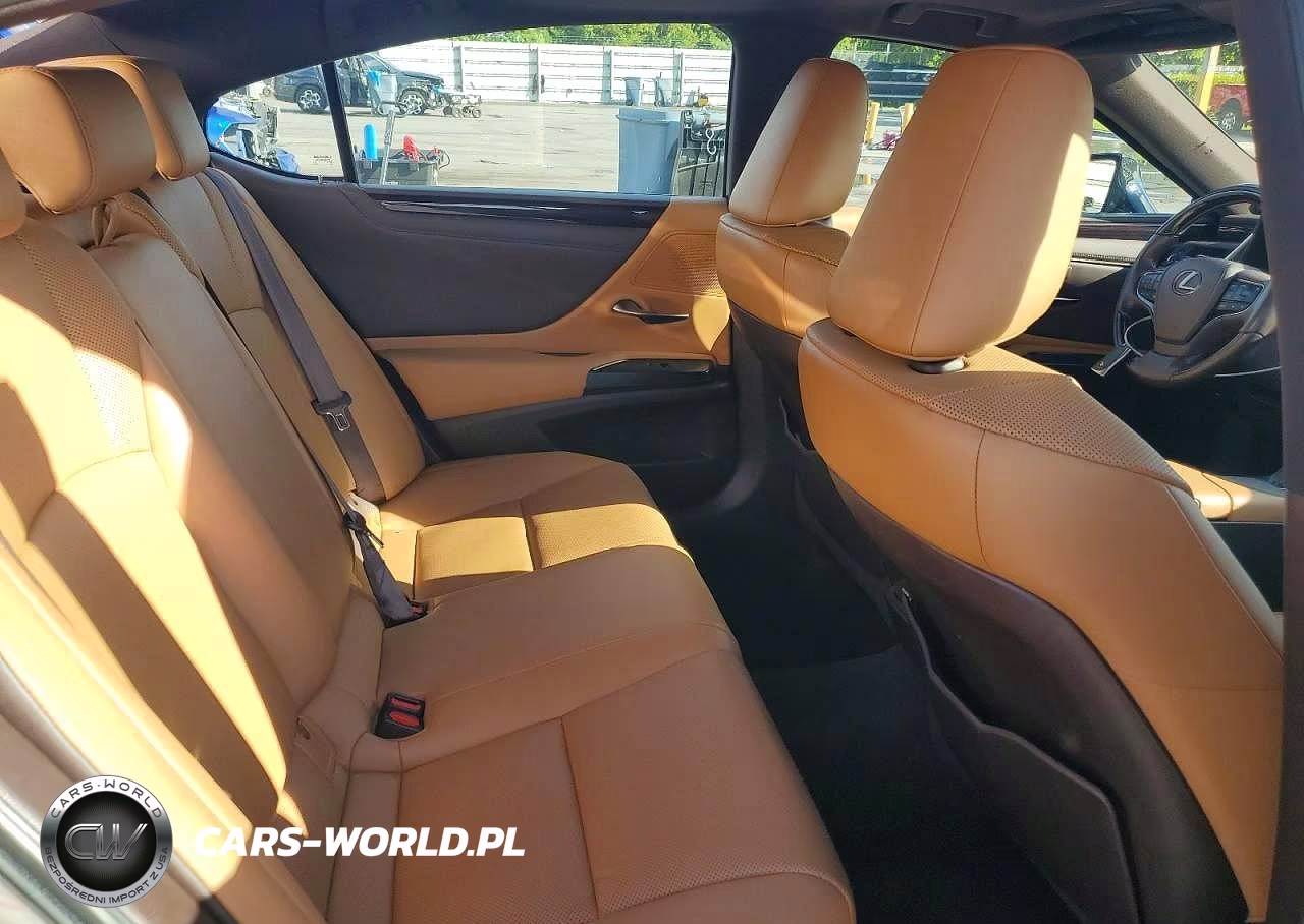 2019 Lexus Es 350 VIN:58ABZ1B19KU010780 - 10