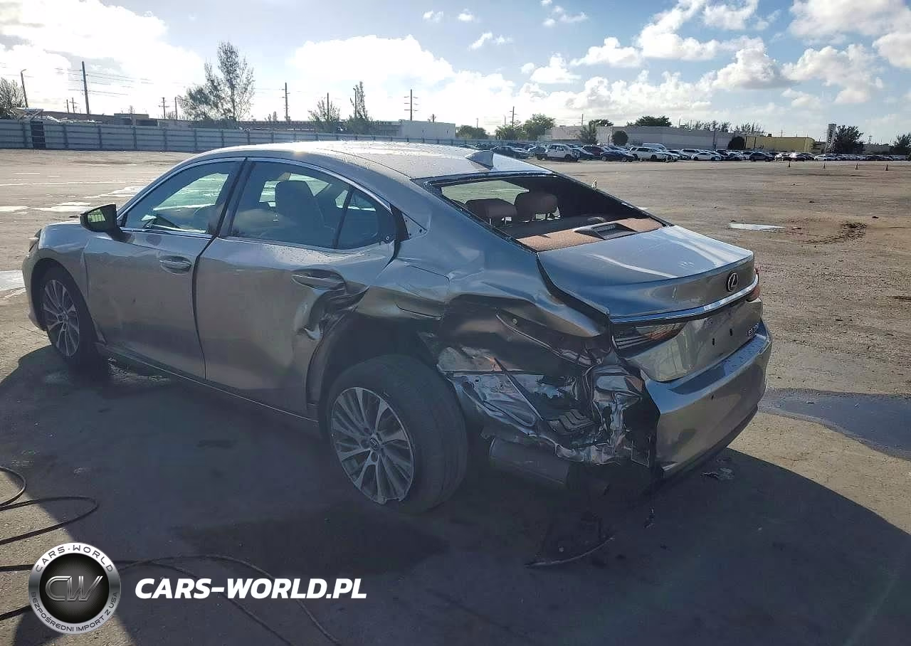 2019 Lexus Es 350 VIN:58ABZ1B19KU010780 - 2