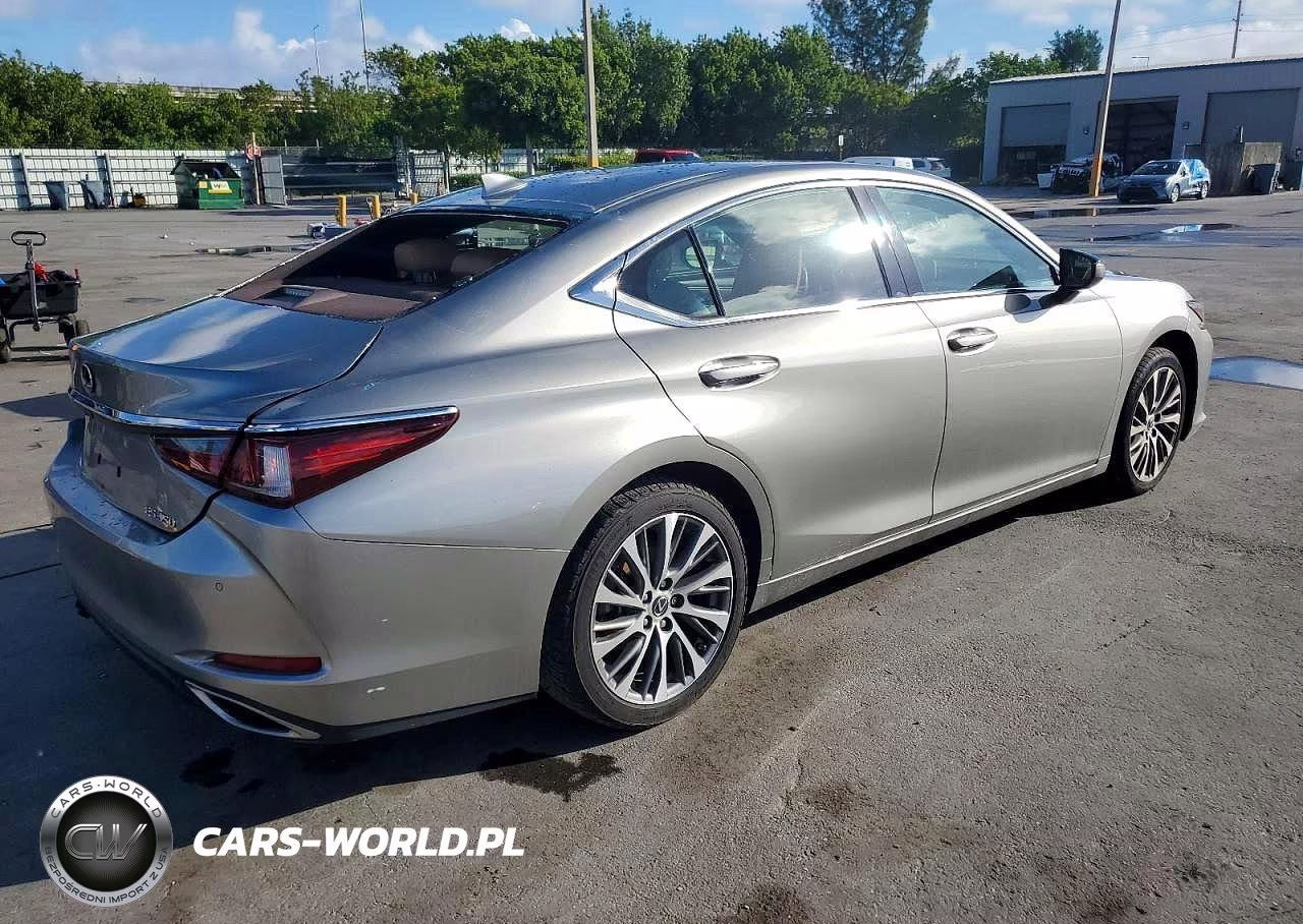 2019 Lexus Es 350 VIN:58ABZ1B19KU010780 - 3
