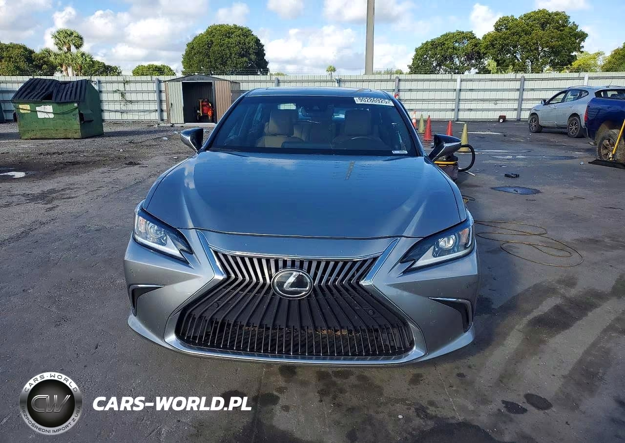 2019 Lexus Es 350 VIN:58ABZ1B19KU010780 - 5