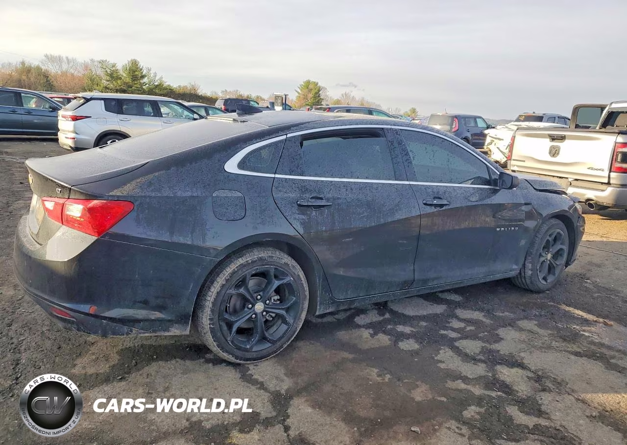 2023 Chevrolet Malibu Lt VIN:1G1ZD5ST5PF166773 - 3