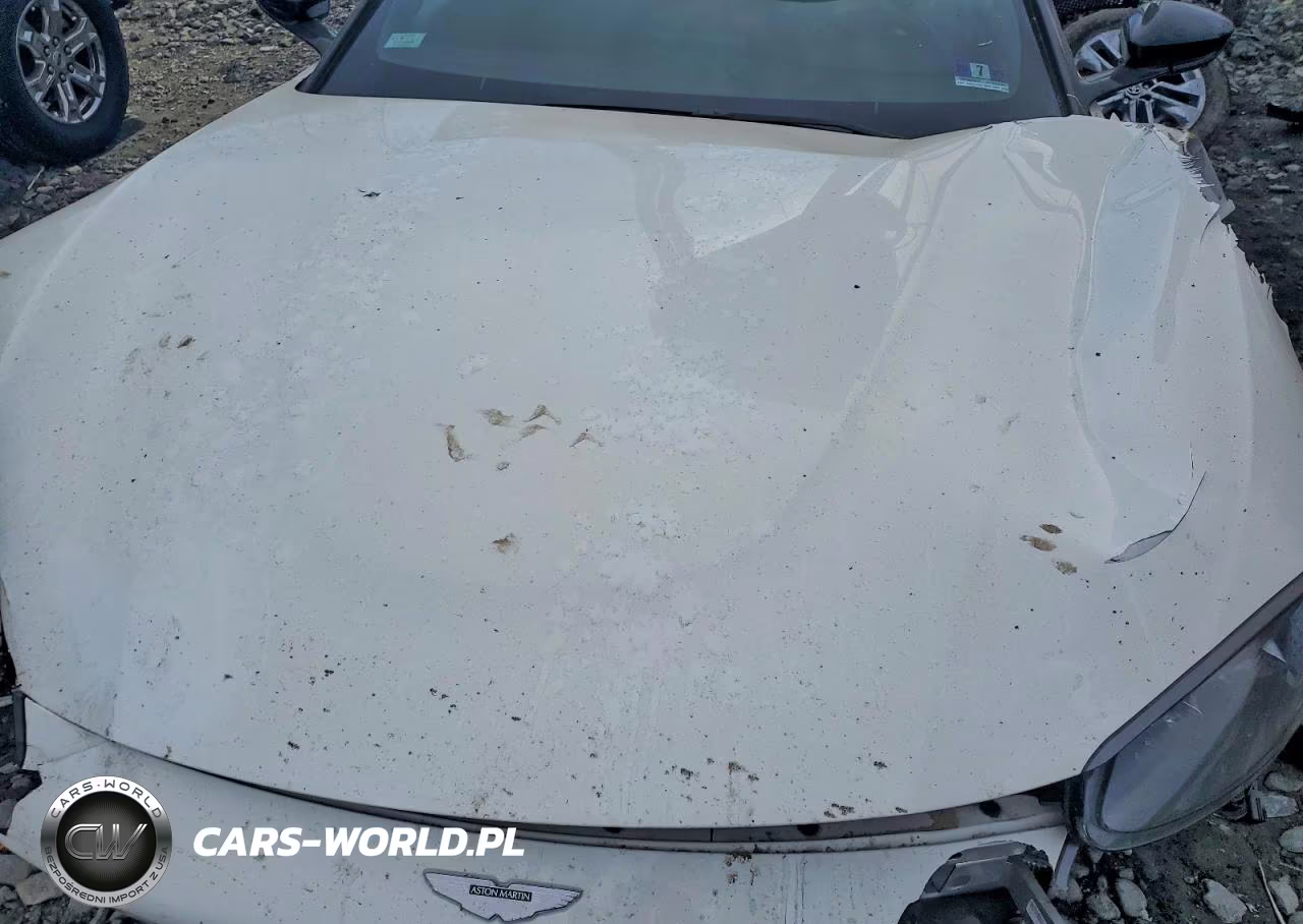 2019 Aston Martin Vantage VIN:SCFSMGAW4KGN02689 - 11