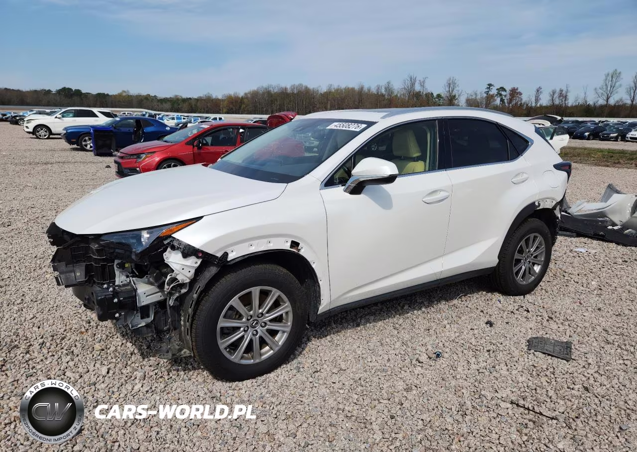 2020 Lexus Nx300
